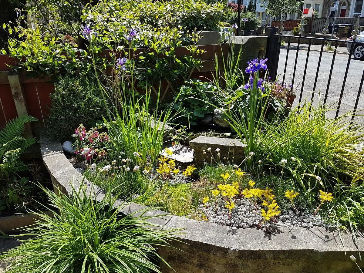 Guest house Wynnstay House Harrogate